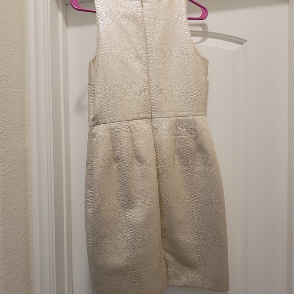 Champagne colored Daniel Cremieux sheath dress - Picture 2 of 4